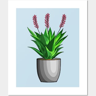 Aloe vera flower Posters and Art